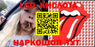 ПСИЛОЦИБИНОВЫЕ ГРИБЫ Новозыбков