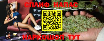 ПСИЛОЦИБИНОВЫЕ ГРИБЫ Новозыбков