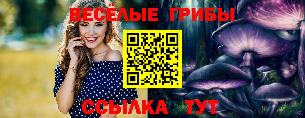 Сертолово  Псилоцибиновые грибы ЛСД  Вход с VPN 